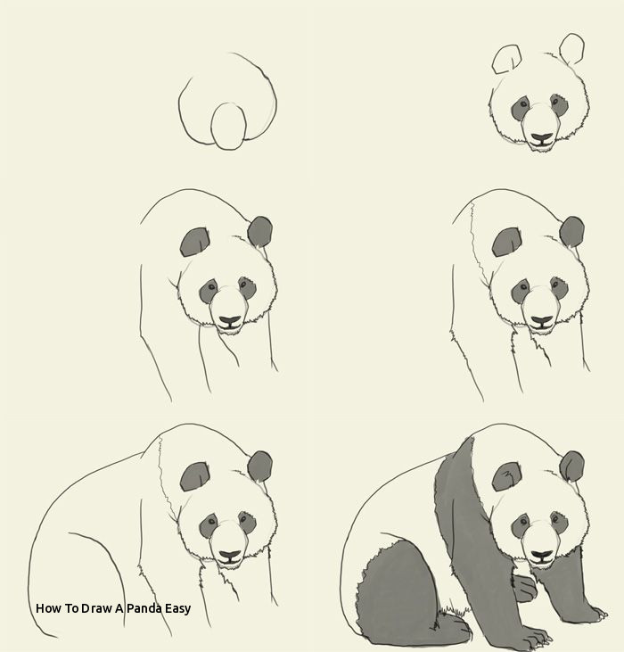 700x731 How To Draw A Panda Easy Best Pandas Images - Panda Drawing Easy