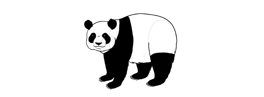 850x314 How To Draw A Panda Step - Panda Drawing Images