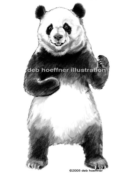 460x600 realistic panda drawing illustration for product label - Panda Drawing Images