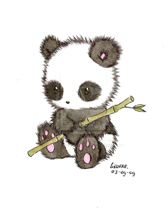 640x800 tell me about pandas cute panda drawing google search art panda - Panda Drawing Images