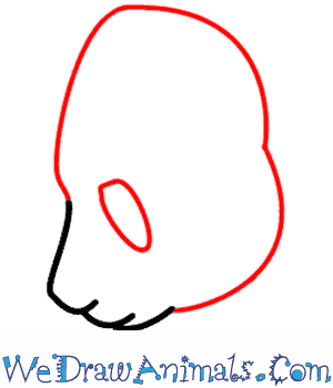 300x350 How To Draw A Panda - Panda Drawing Step By Step