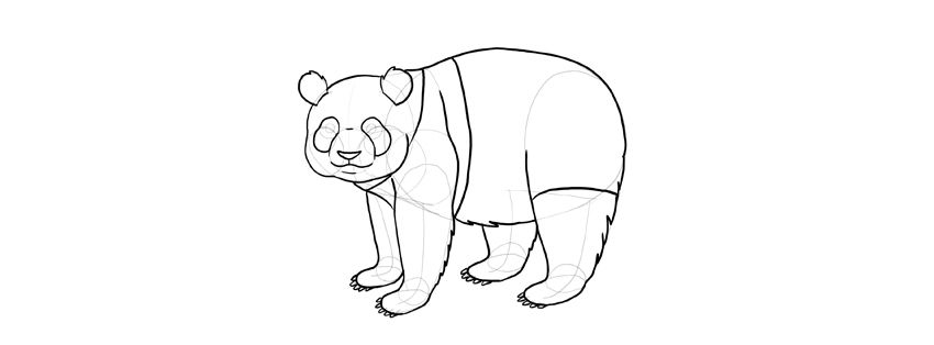 850x314 How To Draw A Panda Step - Panda Drawing Step By Step