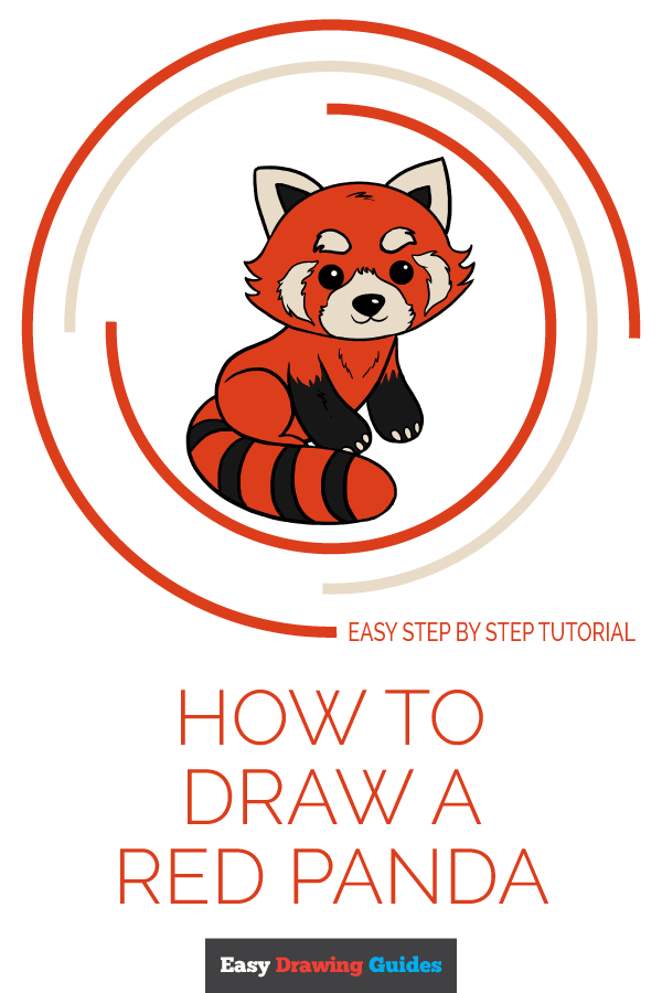 600x900 How To Draw A Red Panda - Panda Drawing Step By Step