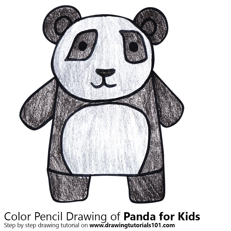 800x800 Learn How To Draw A Panda For Kids - Panda Drawing Step By Step