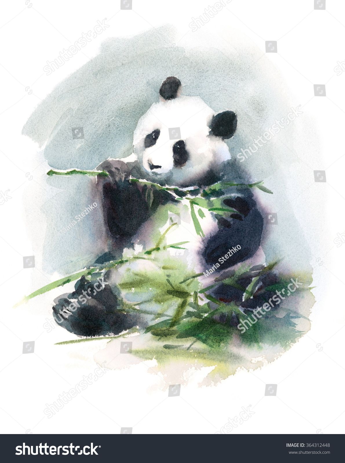 1191x1600 watercolor panda eating bamboo animal illustration hand drawn - Panda Eating Bamboo Drawing