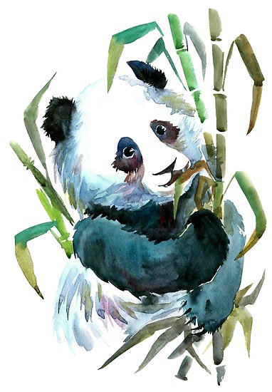382x550 watercolor panda eating bamboo leaves posters - Panda Eating Bamboo Drawing