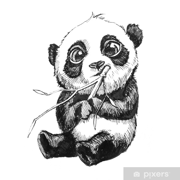 700x700 cute adorable baby panda bear illustration, hand drawn sketch - Panda Eating Bamboo Drawing