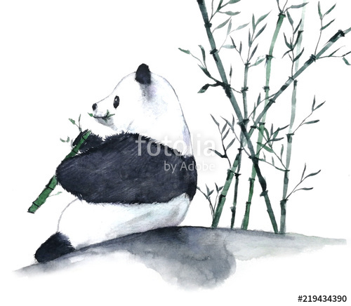 500x436 watercolor panda eating bamboo hand drawn illustration isolated - Panda Eating Bamboo Drawing