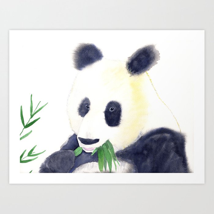Panda Eating Bamboo Drawing At Explore Collection Of Panda Eating Bamboo 