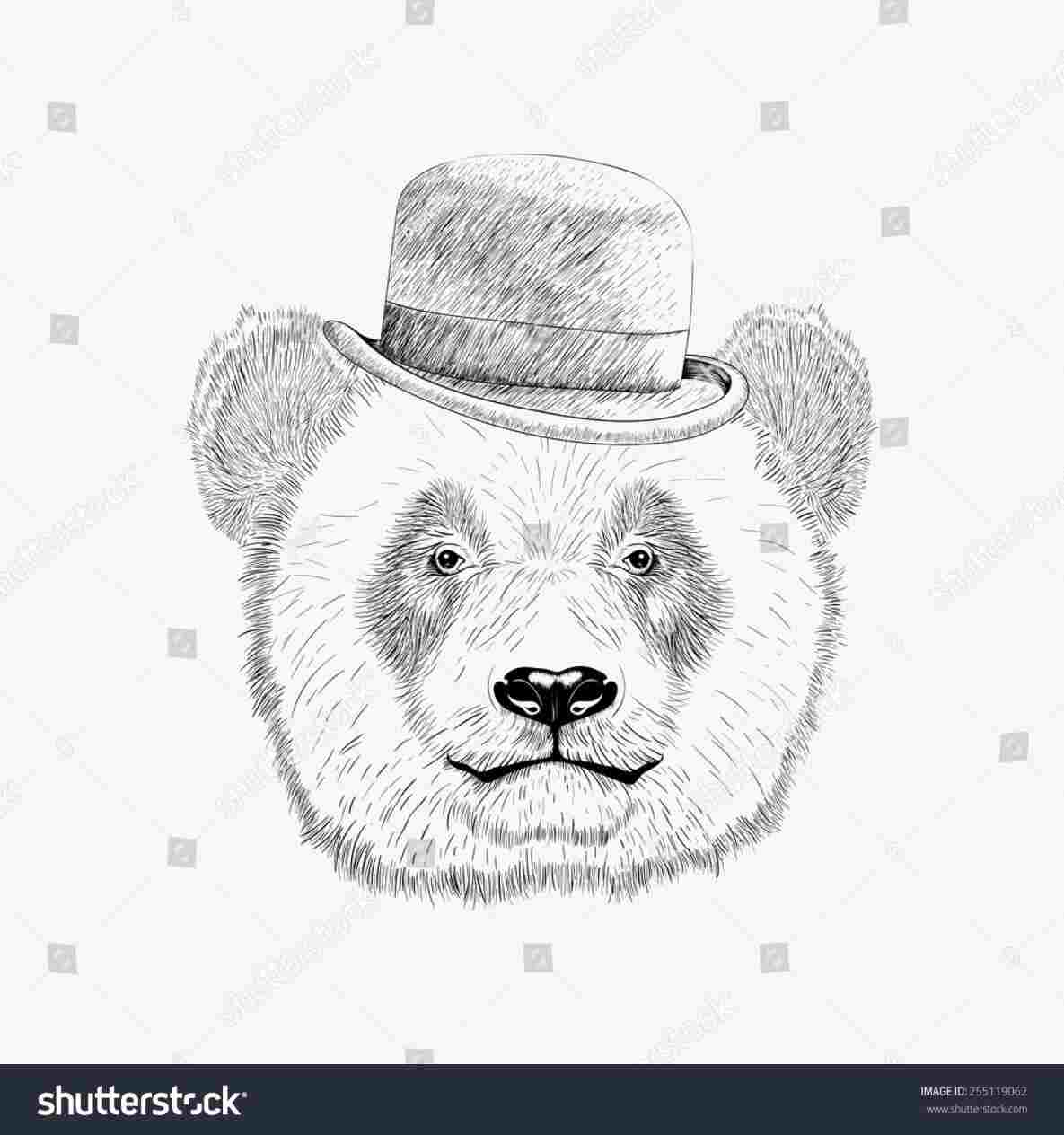 1185x1264 panda face drawing face drawingrhanimalialifeclub vector details - Panda Face Drawing