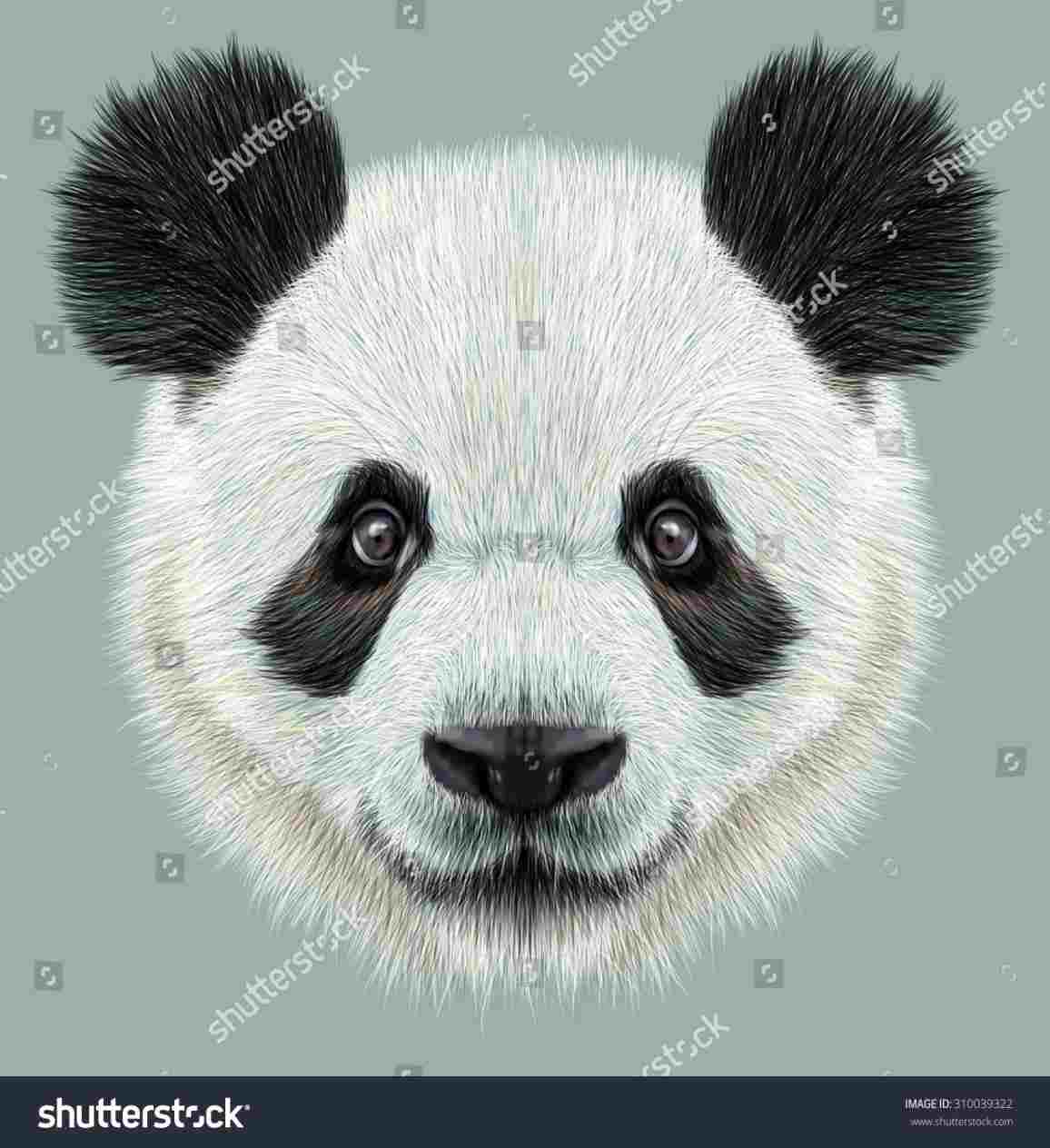 1156x1264 Panda Face Drawings Drawing Fine Art - Panda Face Drawing