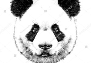 300x210 panda face sketch panda face drawing at getdrawings free - Panda Face Drawing