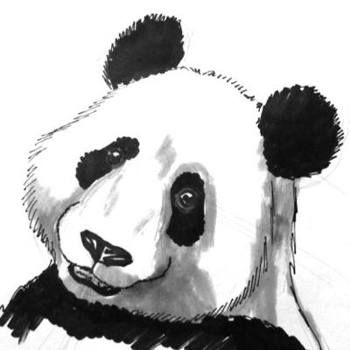 350x350 panda face colored drawing projects to try - Panda Face Drawing
