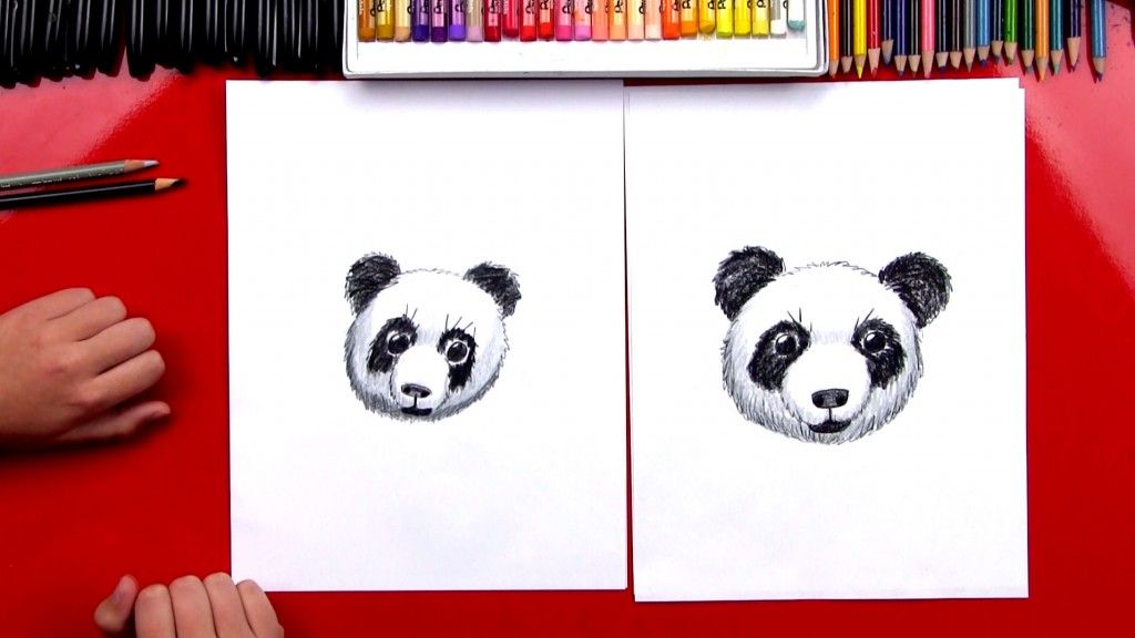 1024x576 How To Draw A Realistic Panda Head - Panda Head Drawing