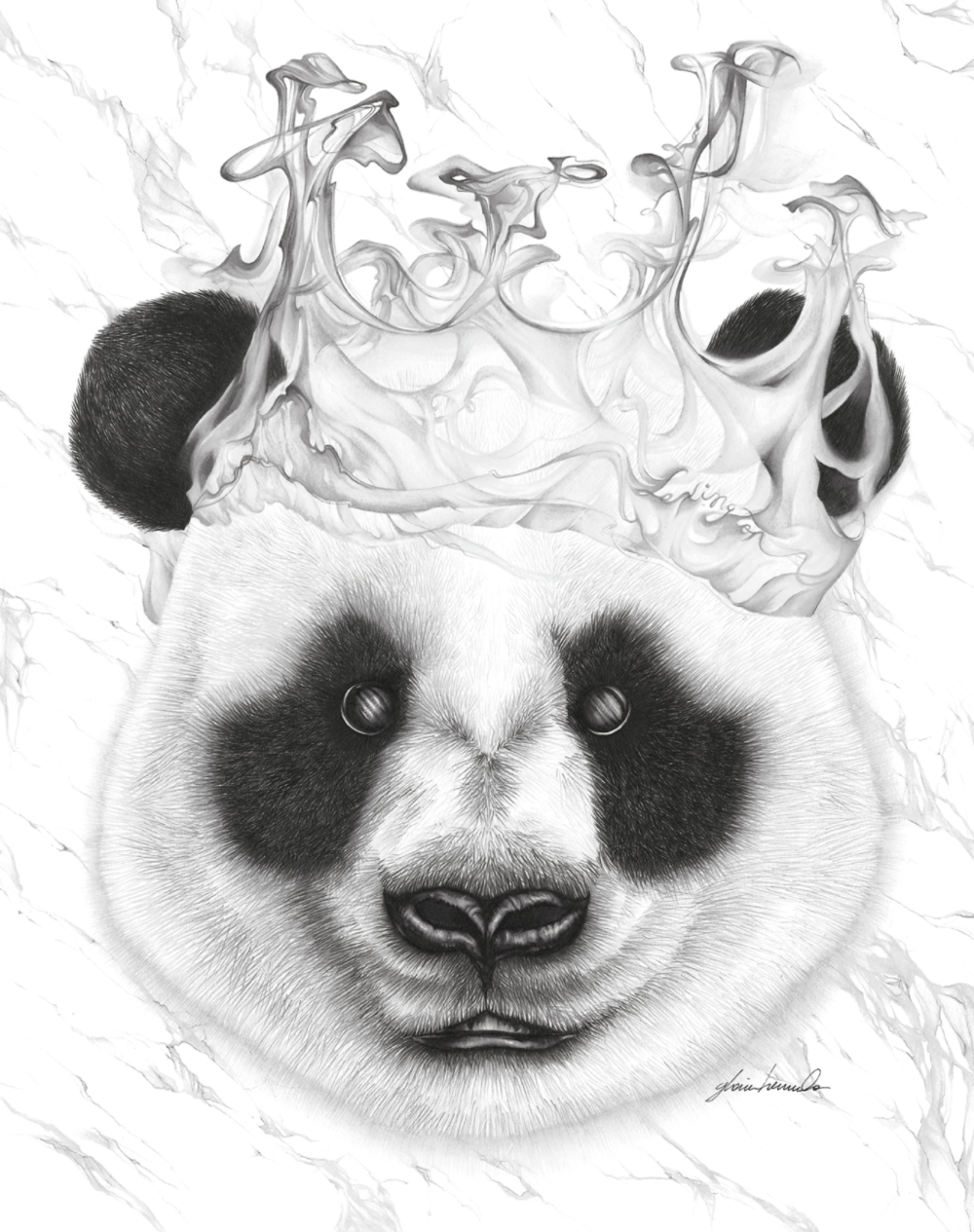 1000x1265 panda limited edition latin for glory - Panda Head Drawing