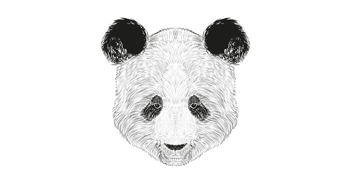 1200x630 Panda Drawing - Panda Head Drawing