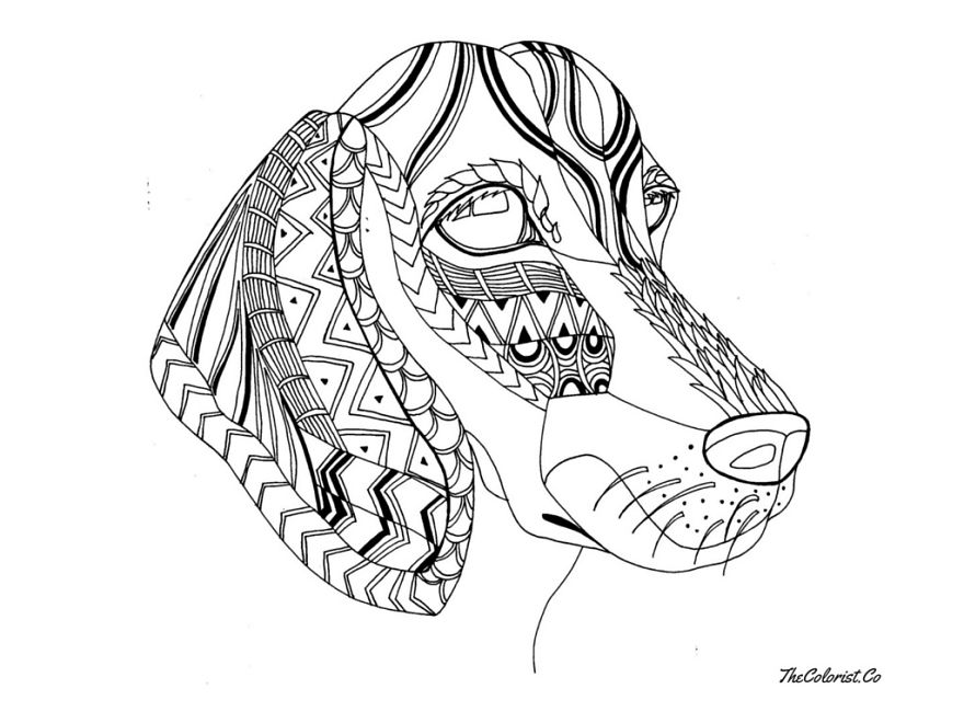 880x660 Line Drawings Of Dogs Bored Panda - Panda Line Drawing