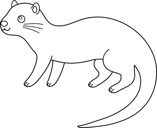 550x449 Otter Line Drawing Transparent Png Clipart Free Download - Panda Line Drawing
