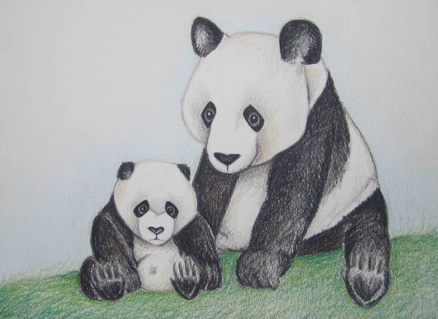 Panda Pencil Drawing at Explore collection of