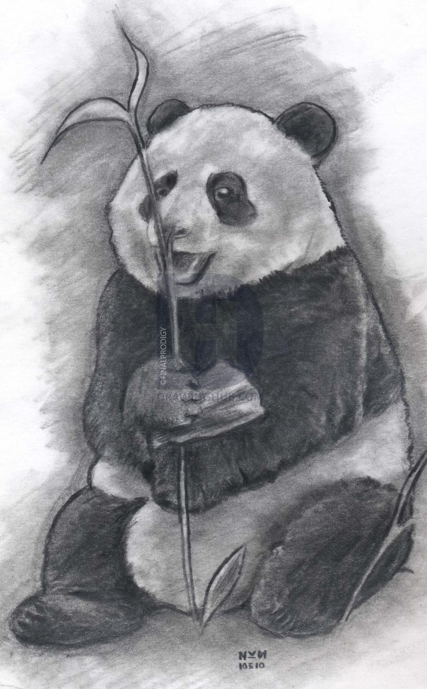 1476x2379 how to draw a realistic panda, draw real panda, step - Panda Pictures Drawing