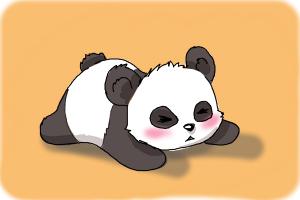 300x200 How To Draw A Baby Panda - Panda Pictures Drawing