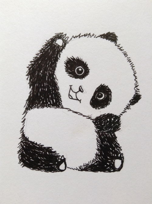 500x669 Panda Drawing Discovered - Panda Pictures Drawing