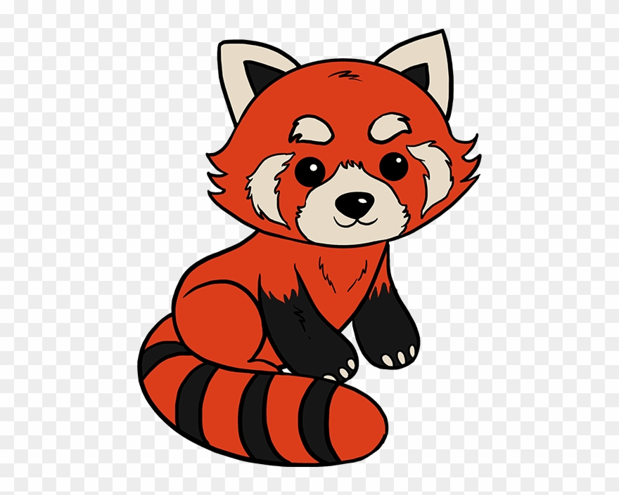 880x705 Red Panda Drawing - Panda Pictures Drawing