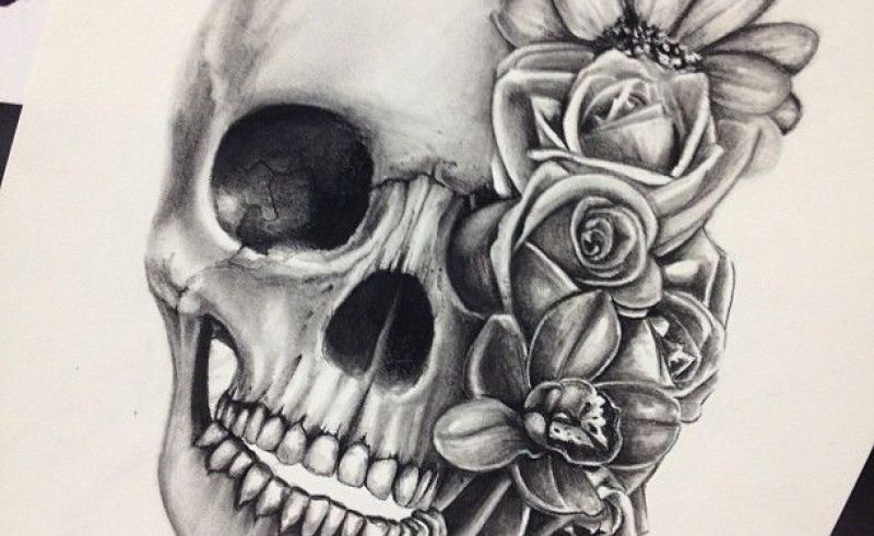 800x491 drawn panda skull pencil and in color drawn panda skull, skull - Panda Skull Drawing