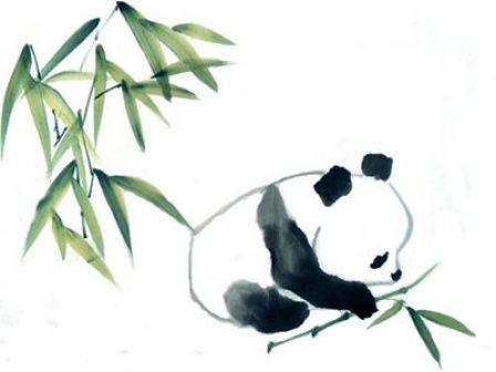 448x336 Giant Panda Drawing Pandas Need To Be Protected Asia For Kids - Panda With Bamboo Drawing