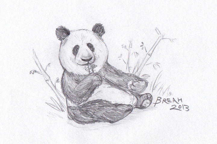 720x480 giant panda and bamboo snack art - Panda With Bamboo Drawing