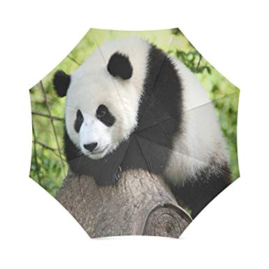 385x385 loverswifehusband gifts presents cute panda - Panda With Bamboo Drawing