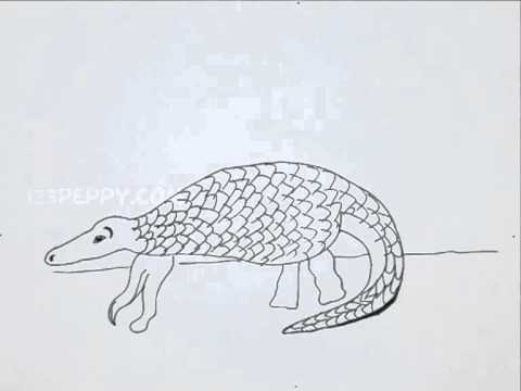 480x360 How To Draw A Pangolin - Pangolin Drawing