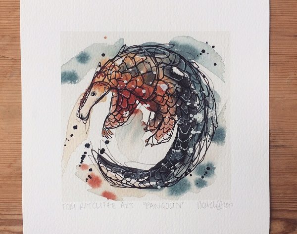 600x474 limited edition prints available for world pangolin day - Pangolin Drawing