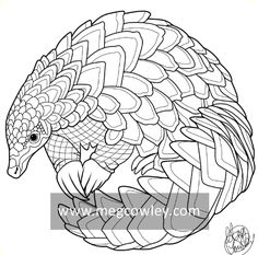 236x233 Best Pangolins Images In Armadillo, Armadillo Animal - Pangolin Drawing