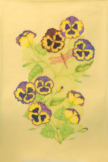 375x563 pansy drawing - Pansy Drawing