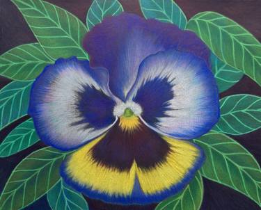 375x302 pansy drawing - Pansy Drawing
