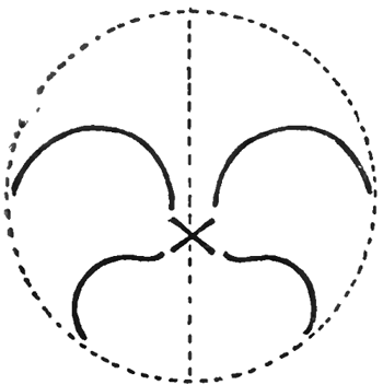 350x352 how to draw pansies with step - Pansy Drawing