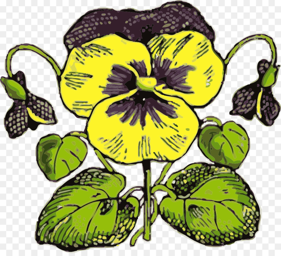 900x820 pansy, flower, drawing, transparent png image clipart free download - Pansy Flower Drawing