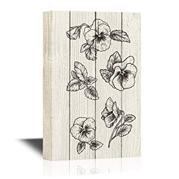 355x355  - Pansy Flower Drawing