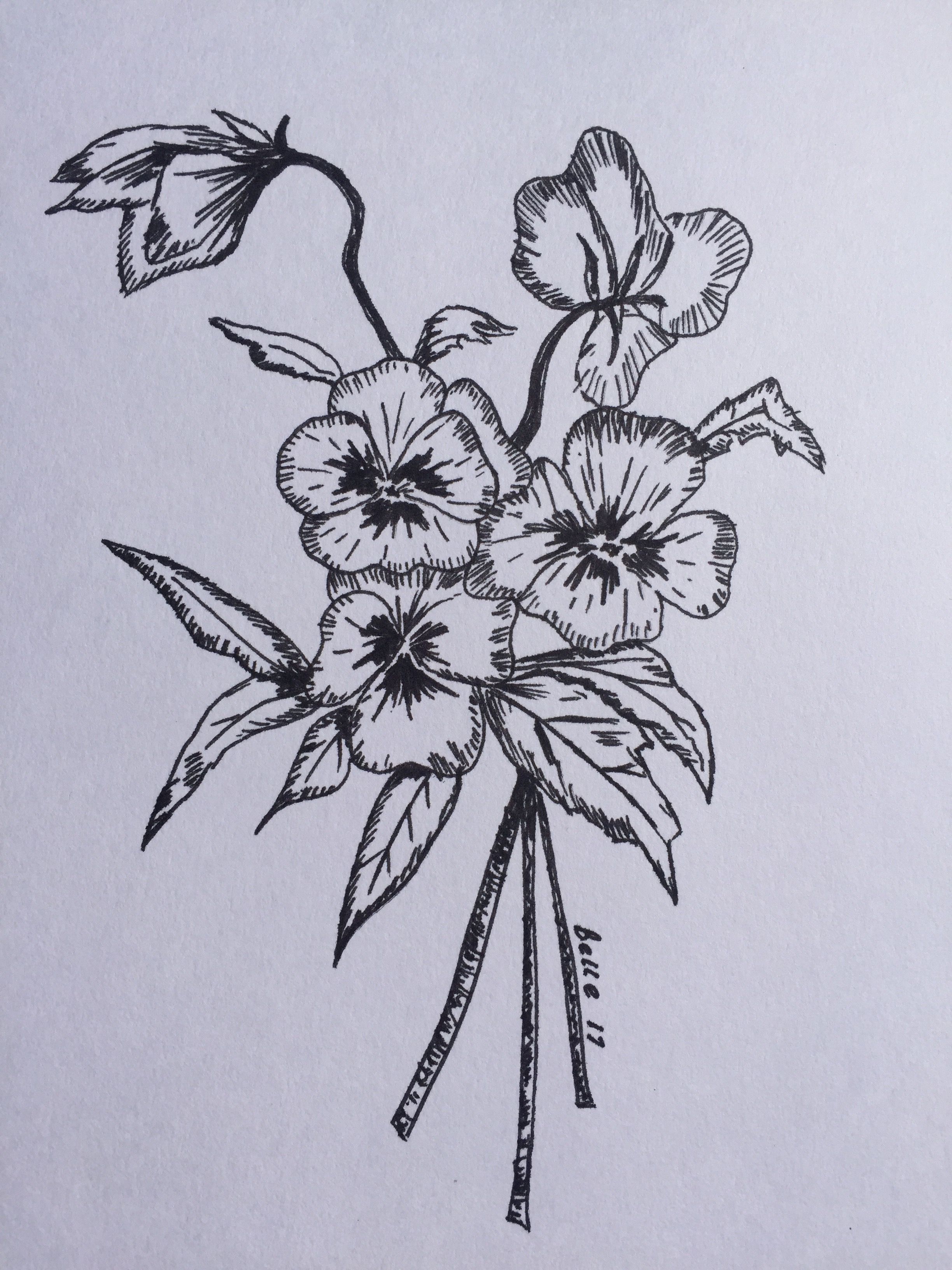 2448x3264 pansy - Pansy Flower Drawing