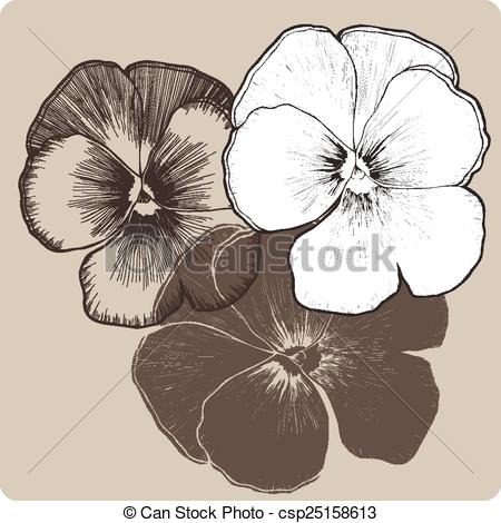 450x470 pansy flower, hand drawing vector illustration - Pansy Flower Drawing