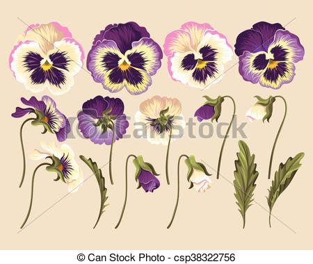 450x380 set of pansy flowers vector set of pansy flowers, buds and leaves - Pansy Flower Drawing