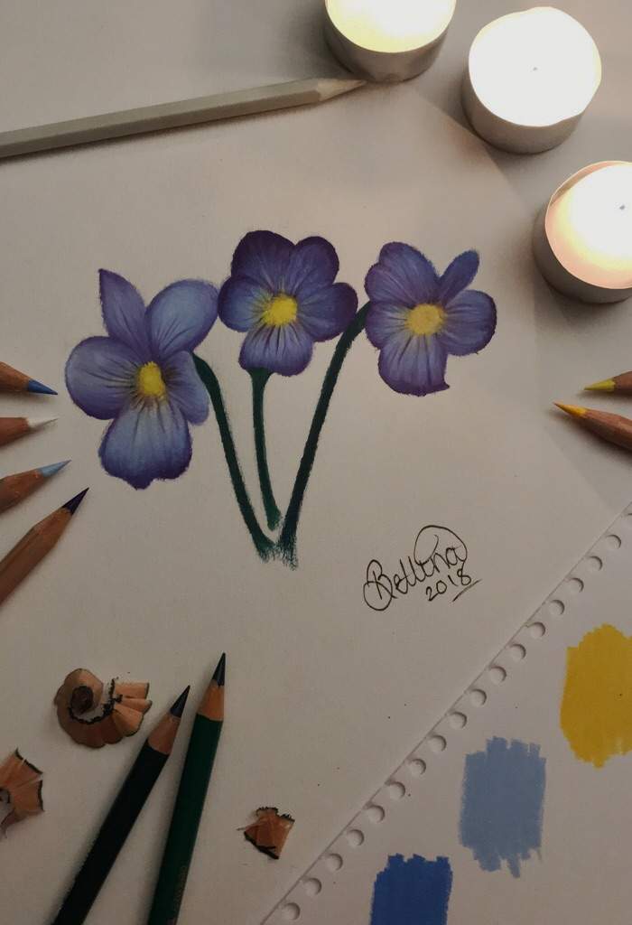 700x1024 Flower Amino - Pansy Flower Drawing