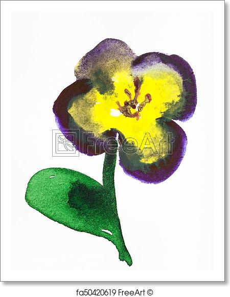 450x580 free art print of pansy flower hand painted on white paper - Pansy Flower Drawing