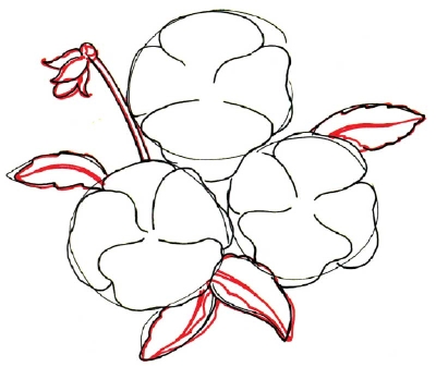 Pansy Line Drawing