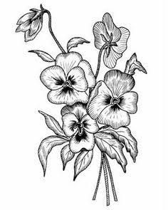 236x295 image result for pansy black and white drawing tattoo ideas - Pansy Line Drawing