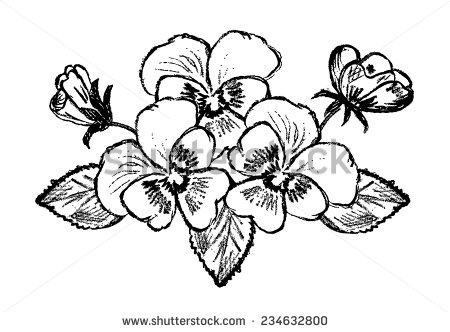 450x332 pansy clipart black and white - Pansy Line Drawing