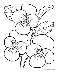 236x288 pansy clipart outline - Pansy Line Drawing