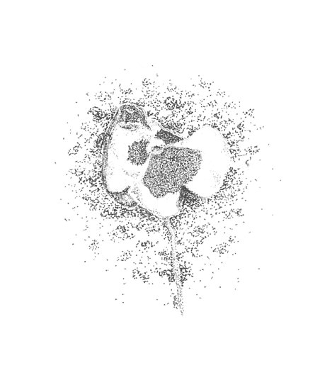 452x550 pansy posters - Pansy Line Drawing