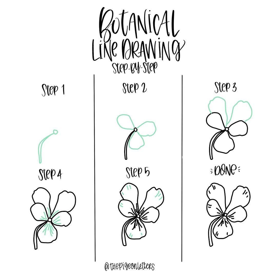 1080x1080 botanical drawing art botanical drawings, drawings - Pansy Line Drawing